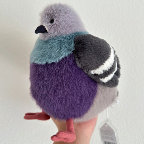 Leicester Pigeon