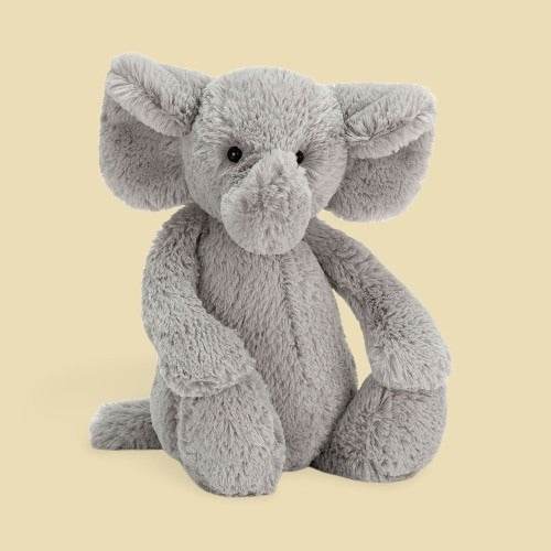 bashful-elephant-pa-bt-22