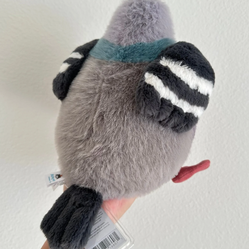 Leicester Pigeon