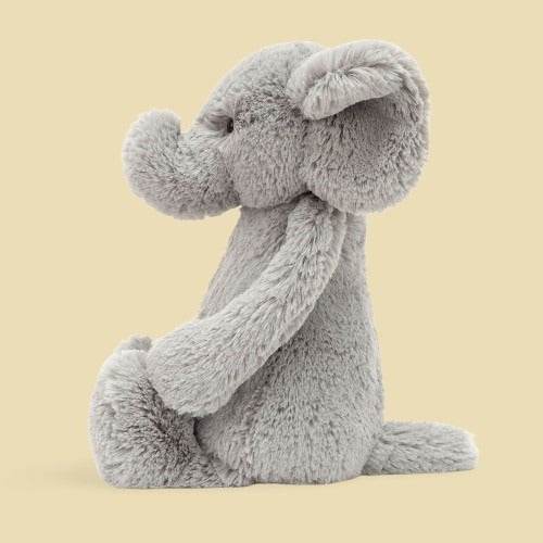 bashful-elephant-pa-bt-22